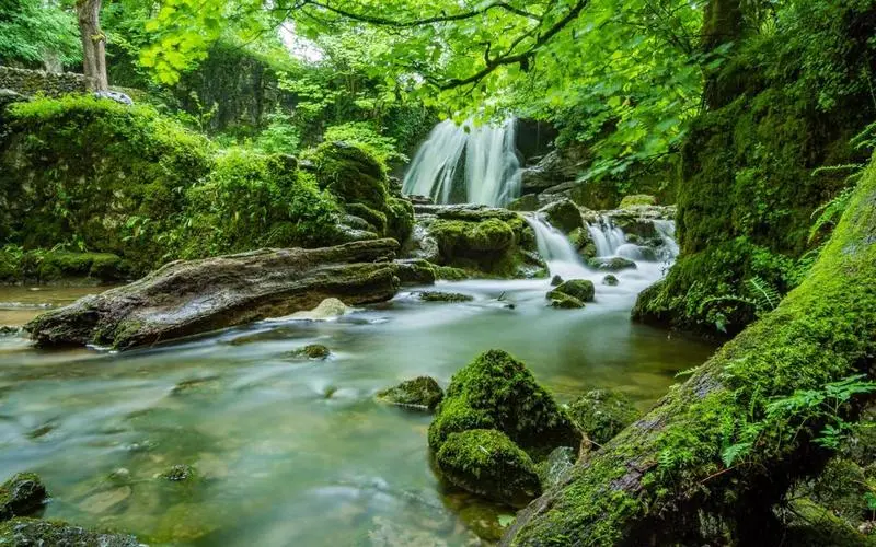 高效智能环保